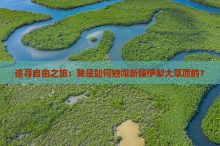 内江去新疆伊犁大草原个人游