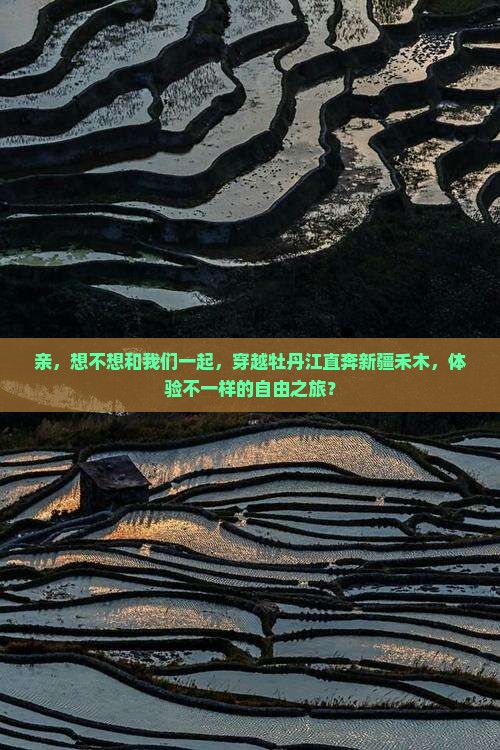 牡丹江去新疆禾木自由团