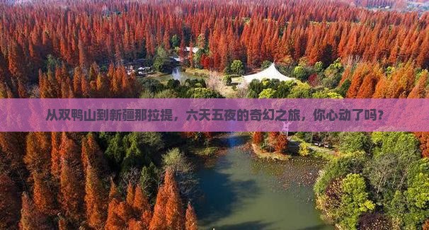 双鸭山到新疆那拉提六日游