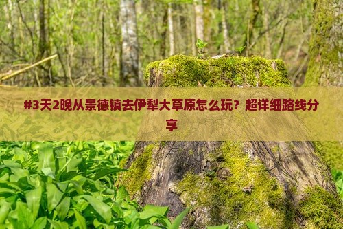 景德镇到新疆伊犁大草原攻略