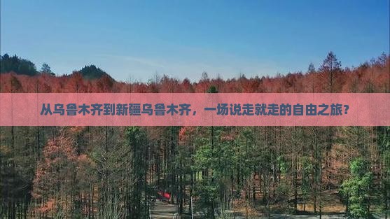 乌鲁木齐到新疆乌鲁木齐自由团
