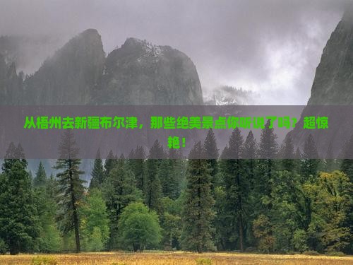 梧州到新疆布尔津景点 梧州到新疆布尔津景点