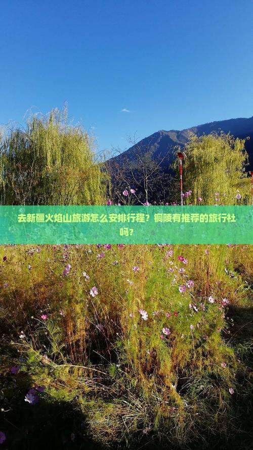 铜陵去新疆火焰山旅行社
