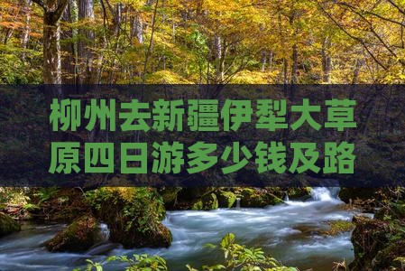 柳州去新疆伊犁大草原四日游