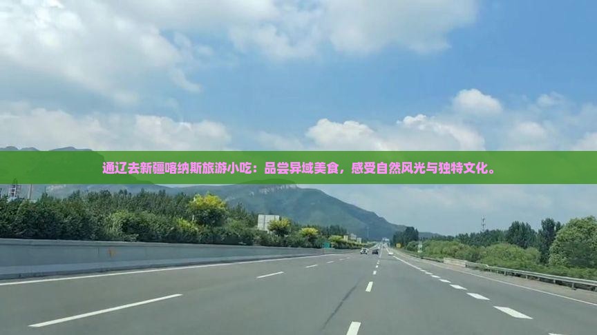 通辽去新疆喀纳斯旅游小吃
