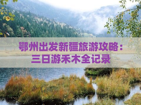 鄂州到新疆禾木三日游