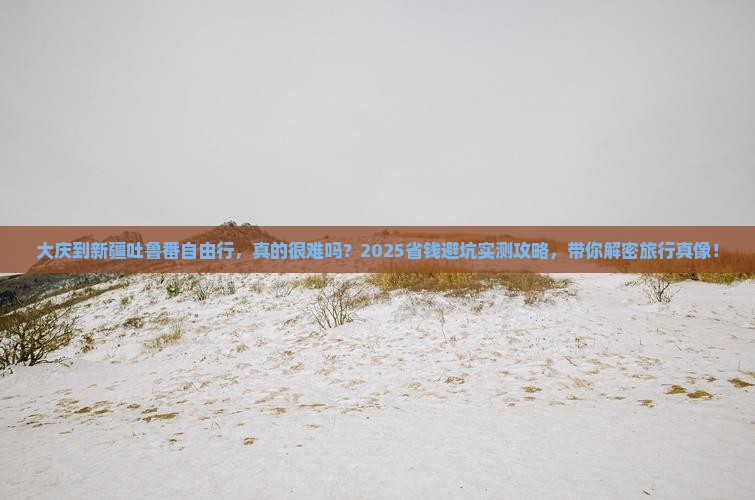 大庆到新疆吐鲁番自由行