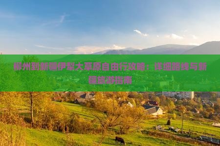 柳州到新疆伊犁大草原自由行