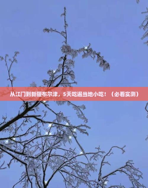 江门到新疆布尔津旅游小吃
