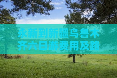 永新到新疆乌鲁木齐六日游