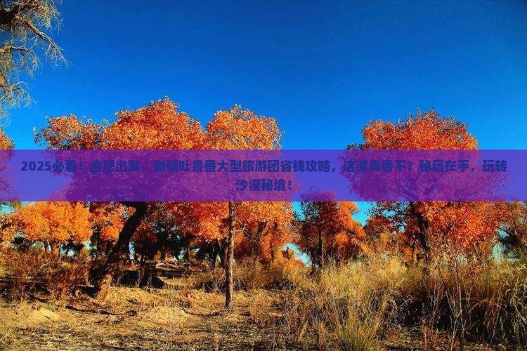 合肥到新疆吐鲁番大型旅游团