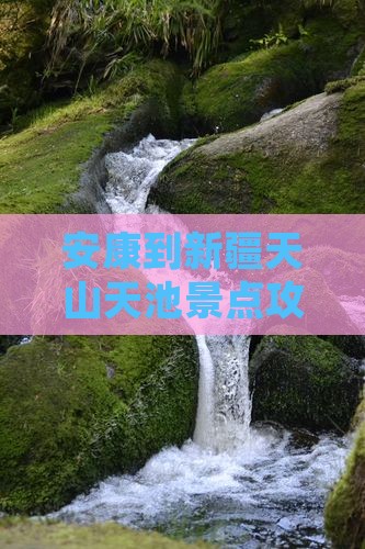 安康到新疆天山天池景点