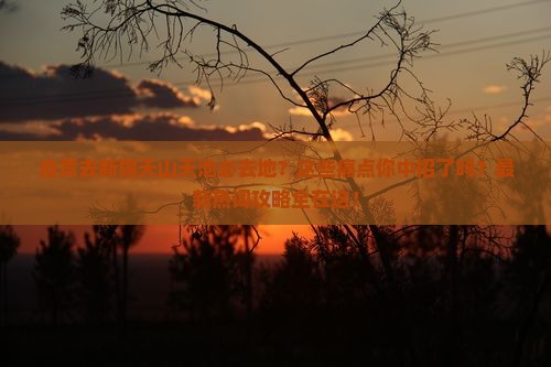 自贡去新疆天山天池必去地