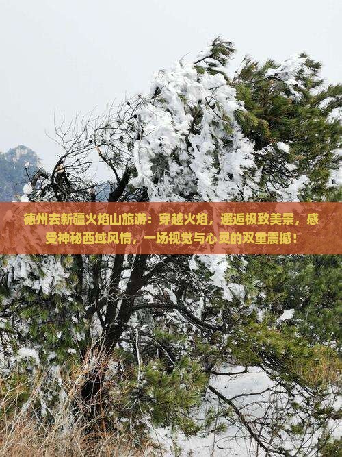 德州去新疆火焰山旅游