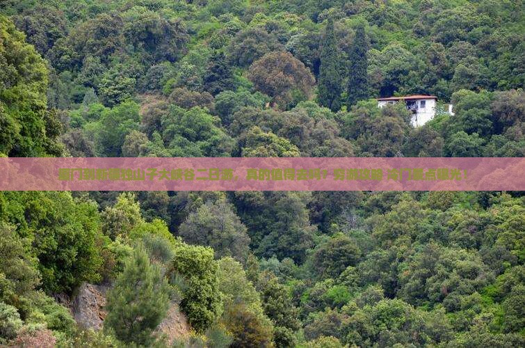 厦门到新疆独山子大峡谷二日游