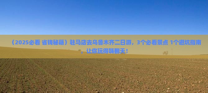 驻马店去新疆乌鲁木齐二日游
