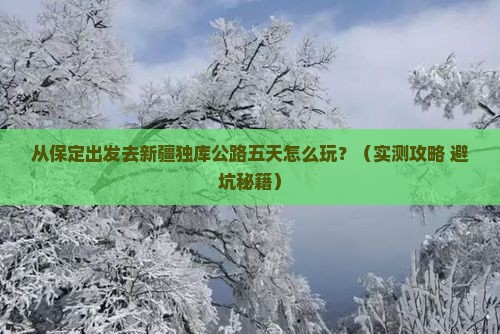 保定到新疆独库公路五日游