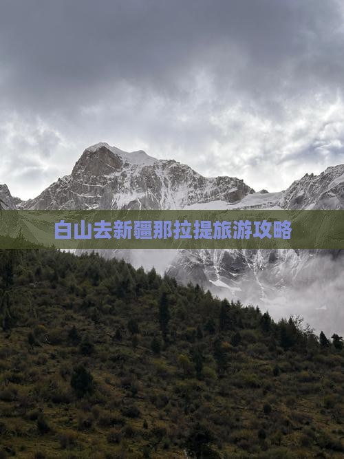 白山去新疆那拉提攻略
