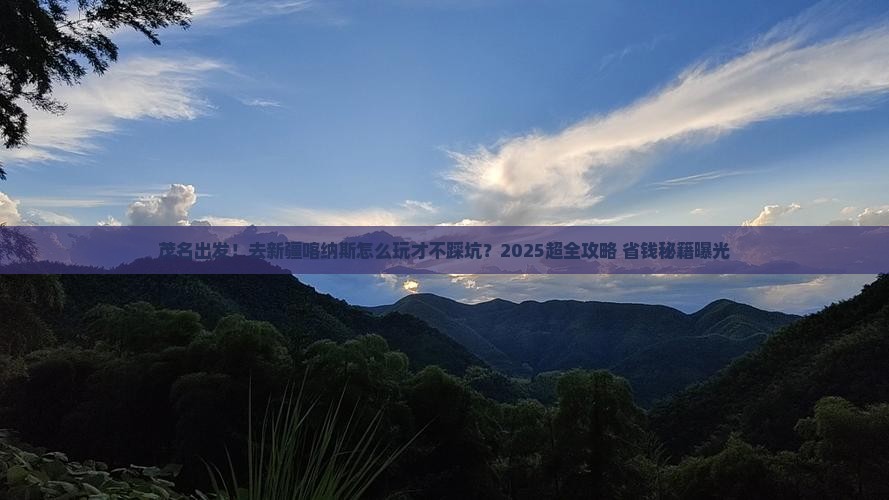 茂名到新疆喀纳斯旅行社