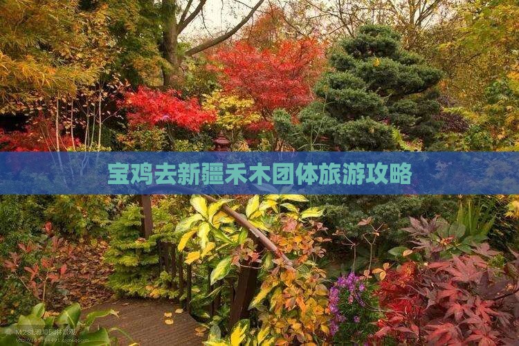 宝鸡去新疆禾木团体旅游