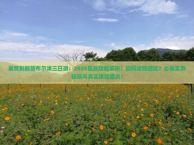 襄樊到新疆布尔津三日游