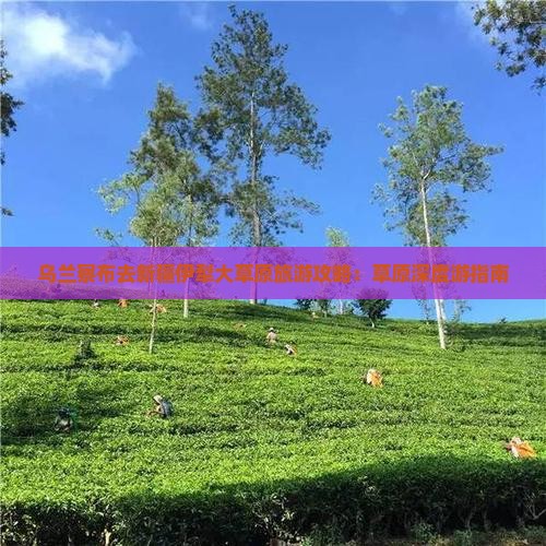 乌兰察布去新疆伊犁大草原旅游