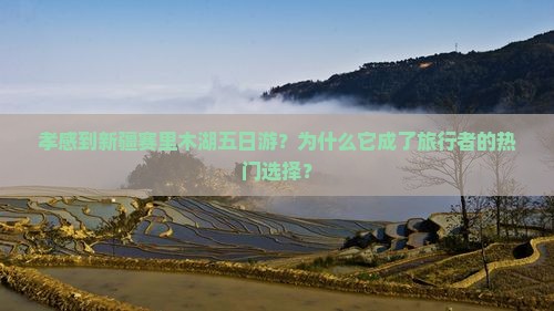 孝感到新疆赛里木湖五日游