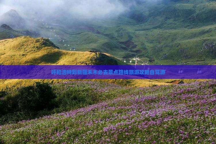 呼和浩特到新疆禾木必去地 呼和浩特到新疆禾木必去地