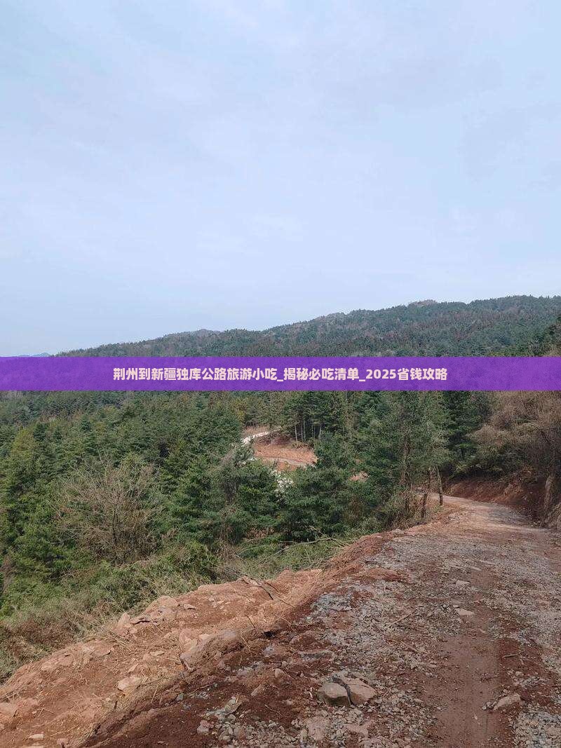 荆州到新疆独库公路旅游小吃