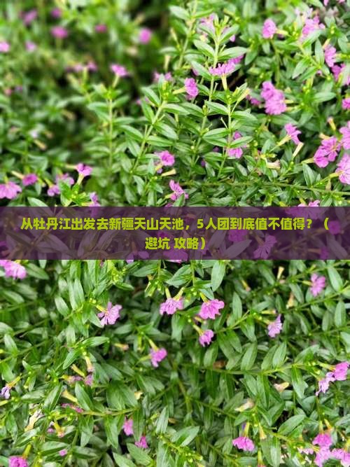 牡丹江去新疆天山天池团体旅游