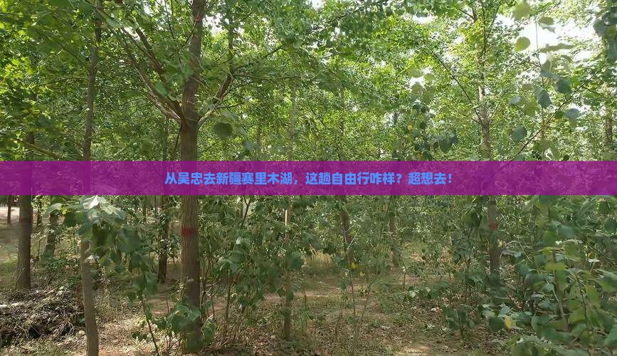 吴忠到新疆赛里木湖自由行