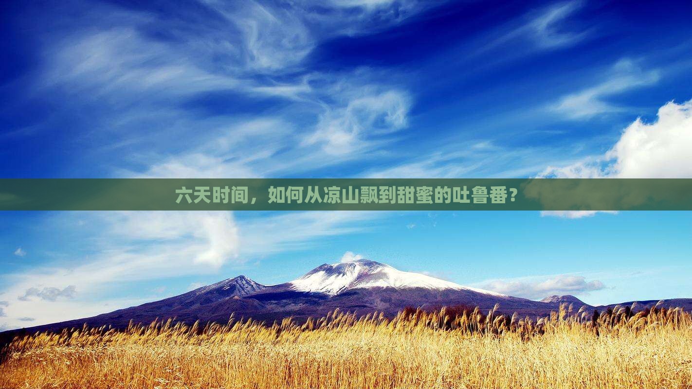 凉山到新疆吐鲁番六日游