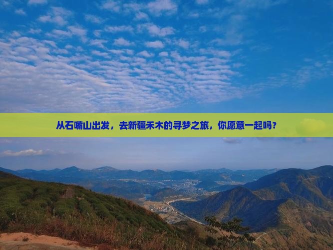 石嘴山到新疆禾木大型旅游团