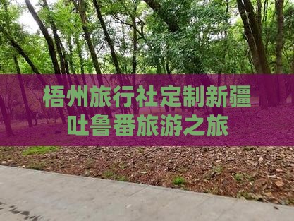梧州去新疆吐鲁番旅行社