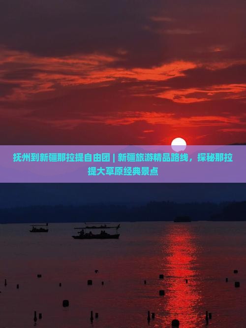 抚州到新疆那拉提自由团