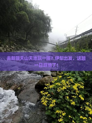伊犁去新疆天山天池一日