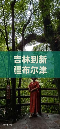 吉林到新疆布尔津自由行