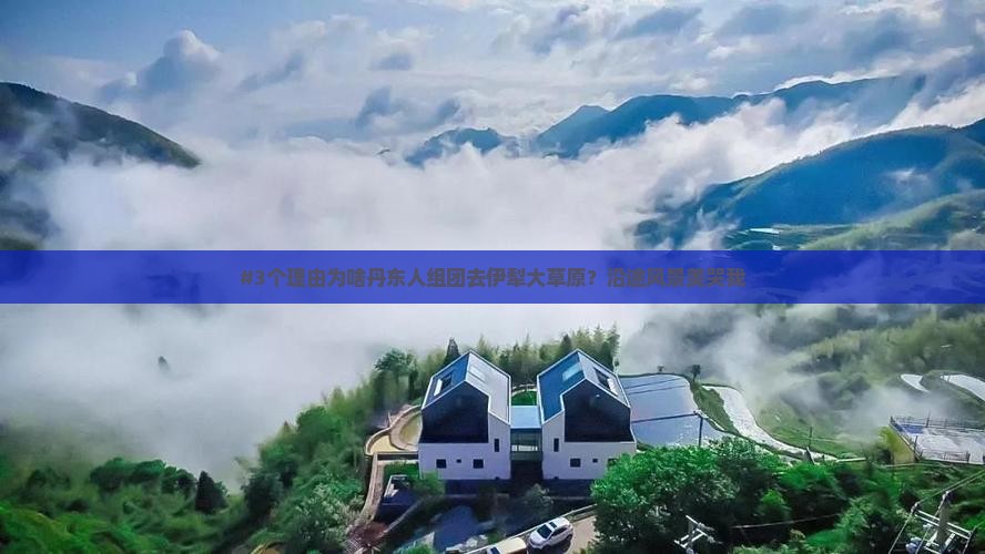 丹东去新疆伊犁大草原自由团