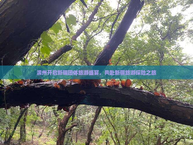 滨州去新疆团体旅游