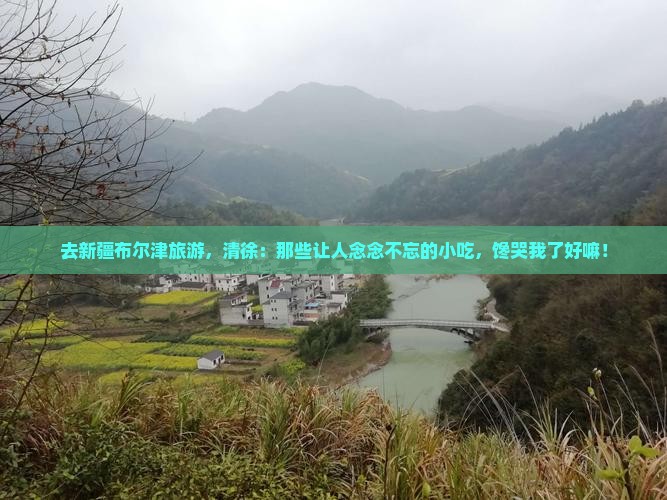 清徐去新疆布尔津旅游小吃