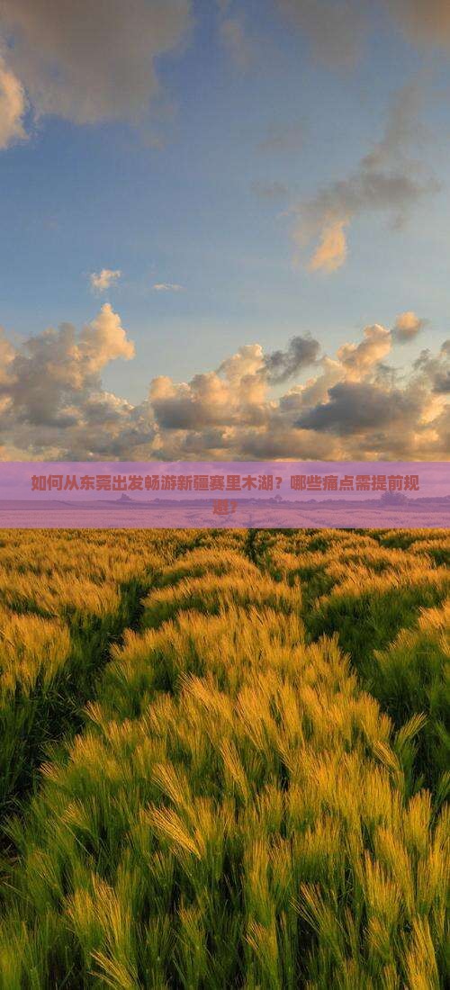 东莞去新疆赛里木湖哪里玩