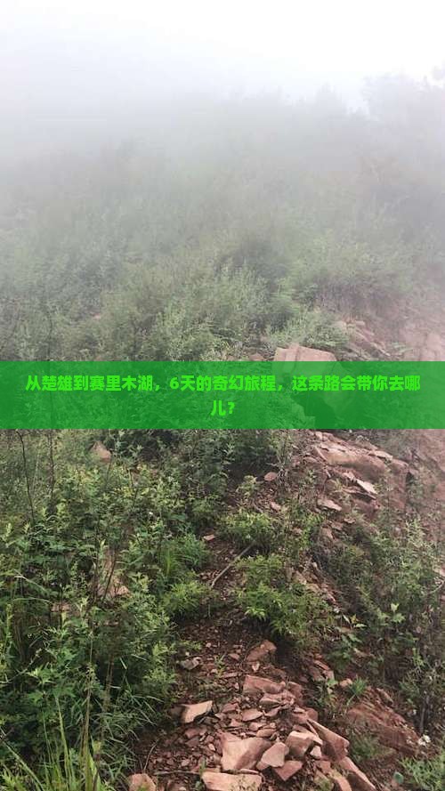 楚雄去新疆赛里木湖六日游