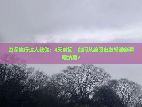 绵阳到新疆喀纳斯四日游