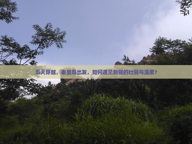 秦皇岛到新疆五日游