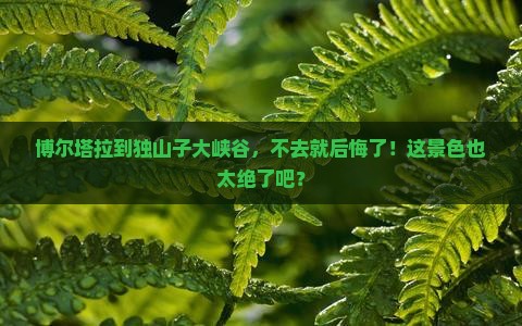博尔塔拉到新疆独山子大峡谷必去地