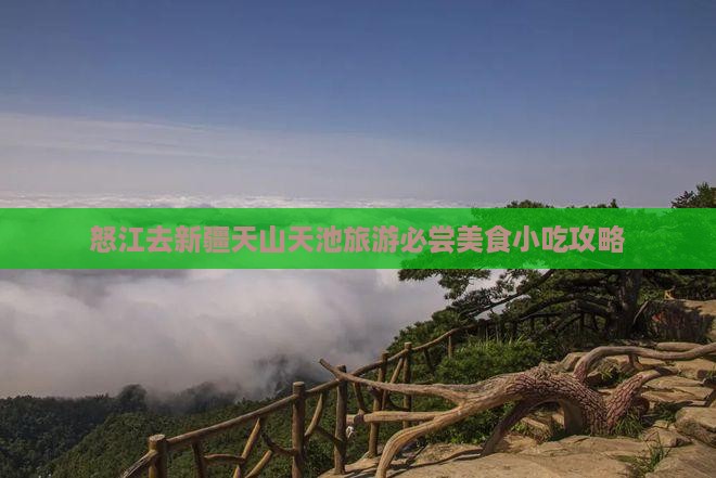 怒江去新疆天山天池旅游小吃 怒江去新疆天山天池旅游小吃