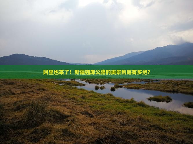 阿里到新疆独库公路景点