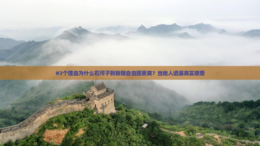 石河子到新疆自由团