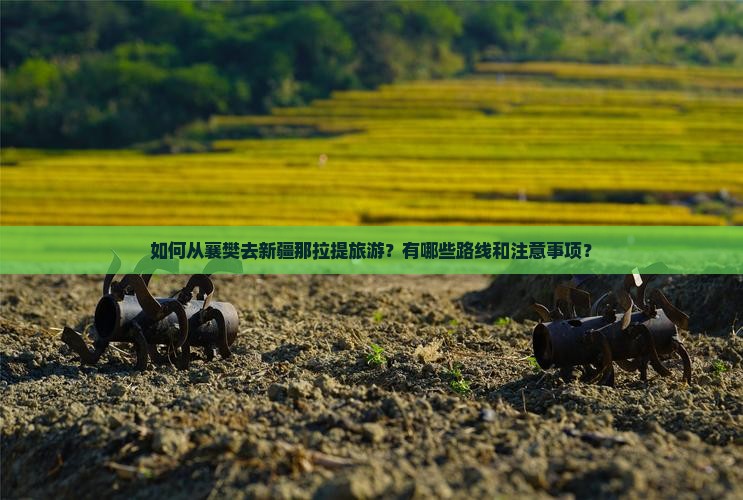 襄樊去新疆那拉提旅游