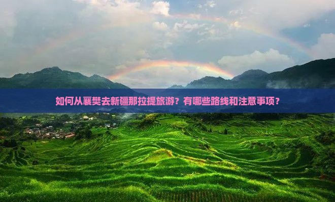 襄樊去新疆那拉提旅游